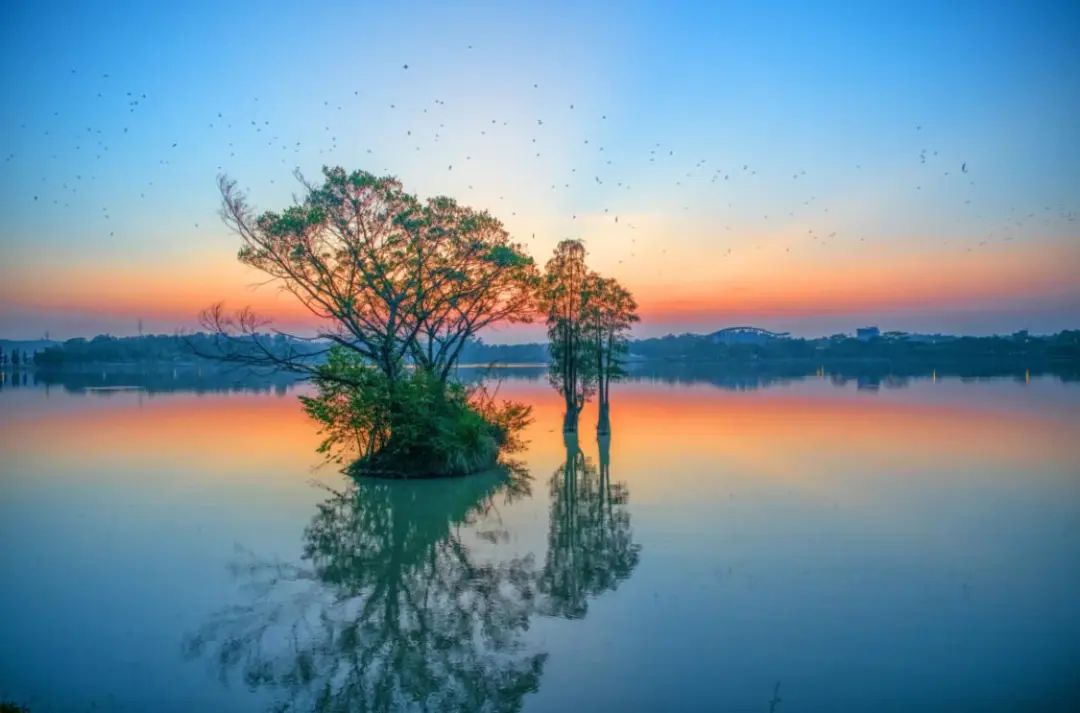 Explore the Beautiful Lakes of Foshan: A Captivating Journey Awaits!