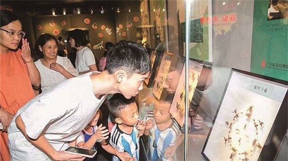 Two Museums in Shunde Listed in Guangdong&#39;s Top 100 Popular Museums