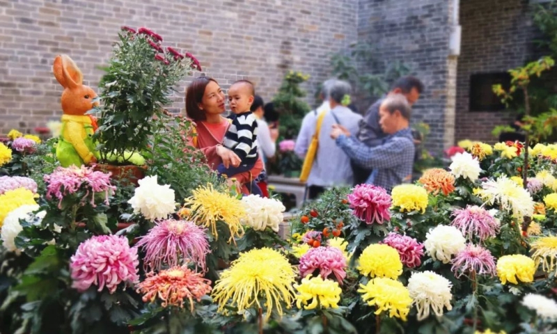 The 8th Chrysanthemum Exhibition Set to Stage in Chancheng on December 1